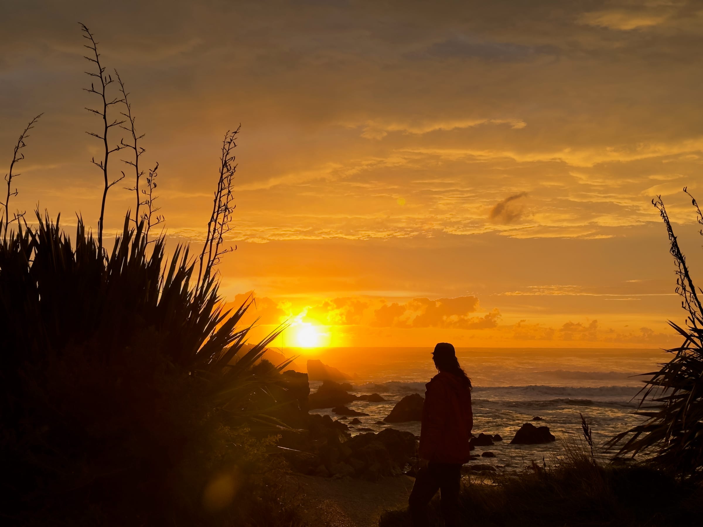 Silhouette watching ocean sunset with plants